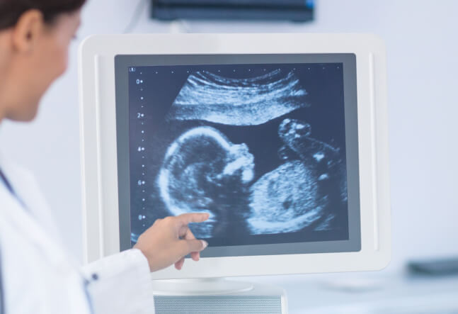 Integrated Imaging Systems